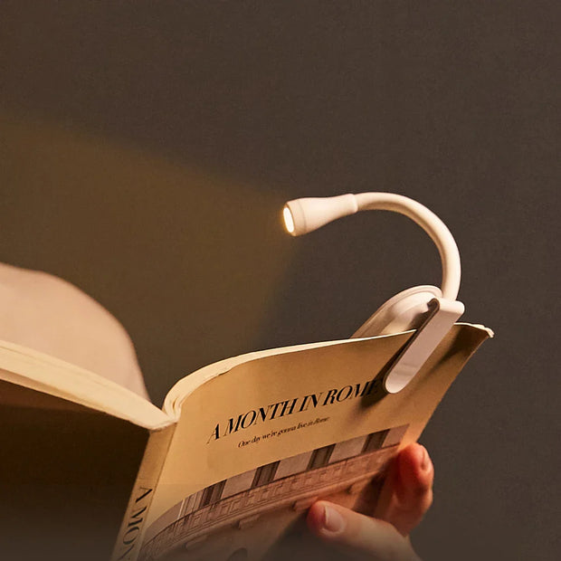 Mini Book Light